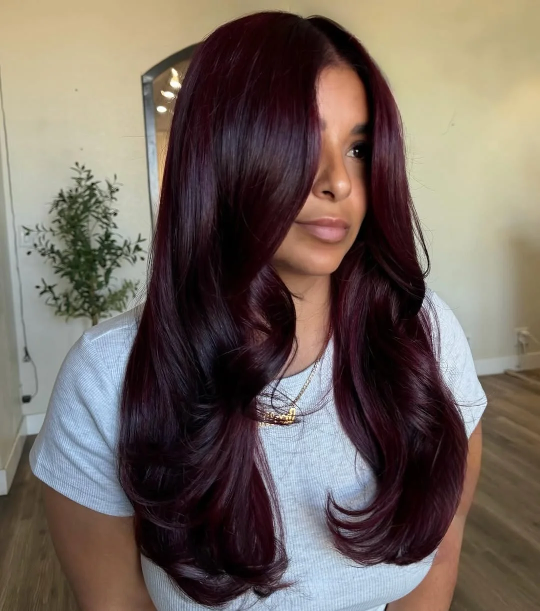 deep summer velvet burgundy hair color 2026 Midnight Burgundy Blowout With Soft Velvet Layers