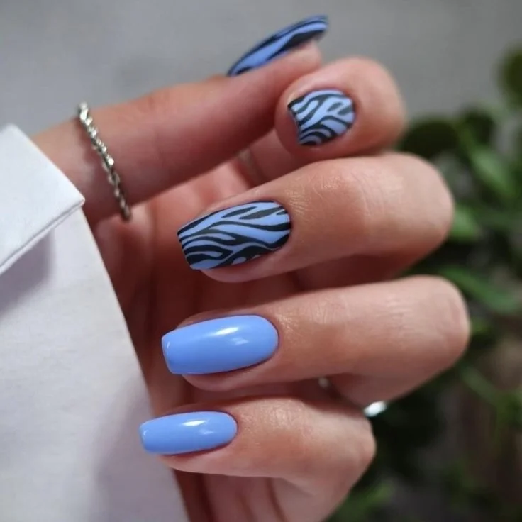 21 summer manicure color ideas 2026 Powder Blue Zebra Nails With Glossy Animal Print